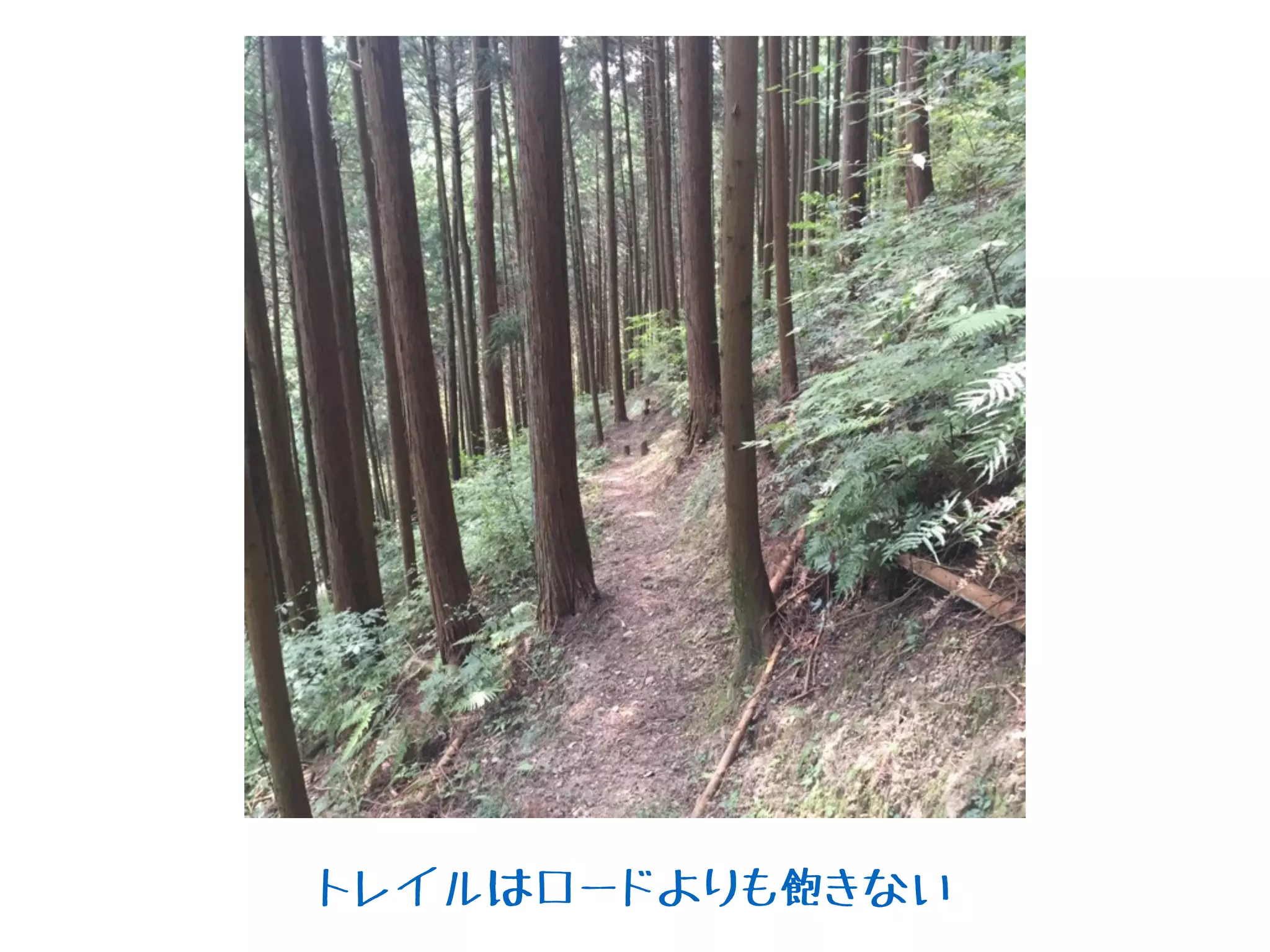 トレイルはロードよりも飽きない
 