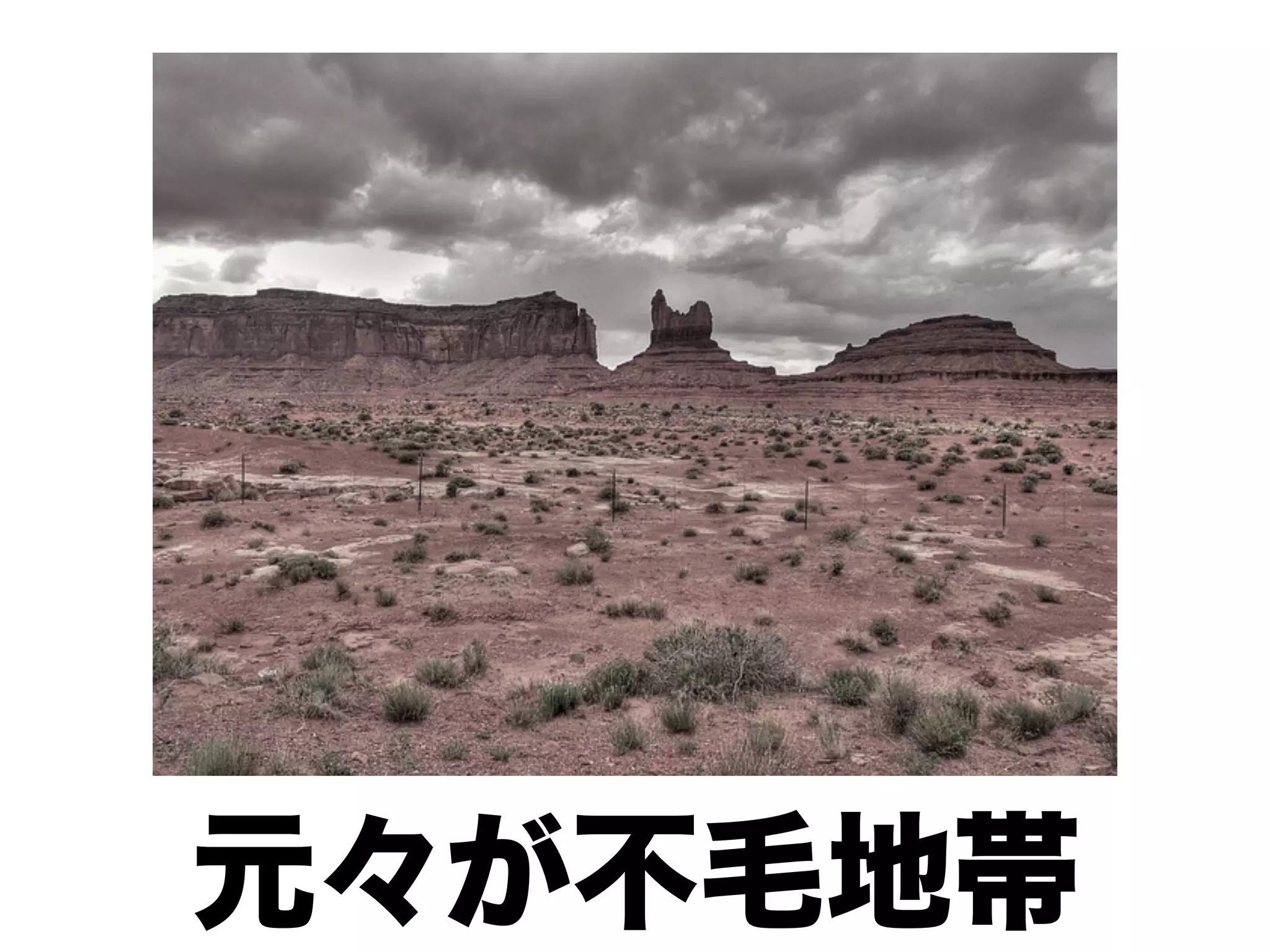 元々が不毛地帯
 