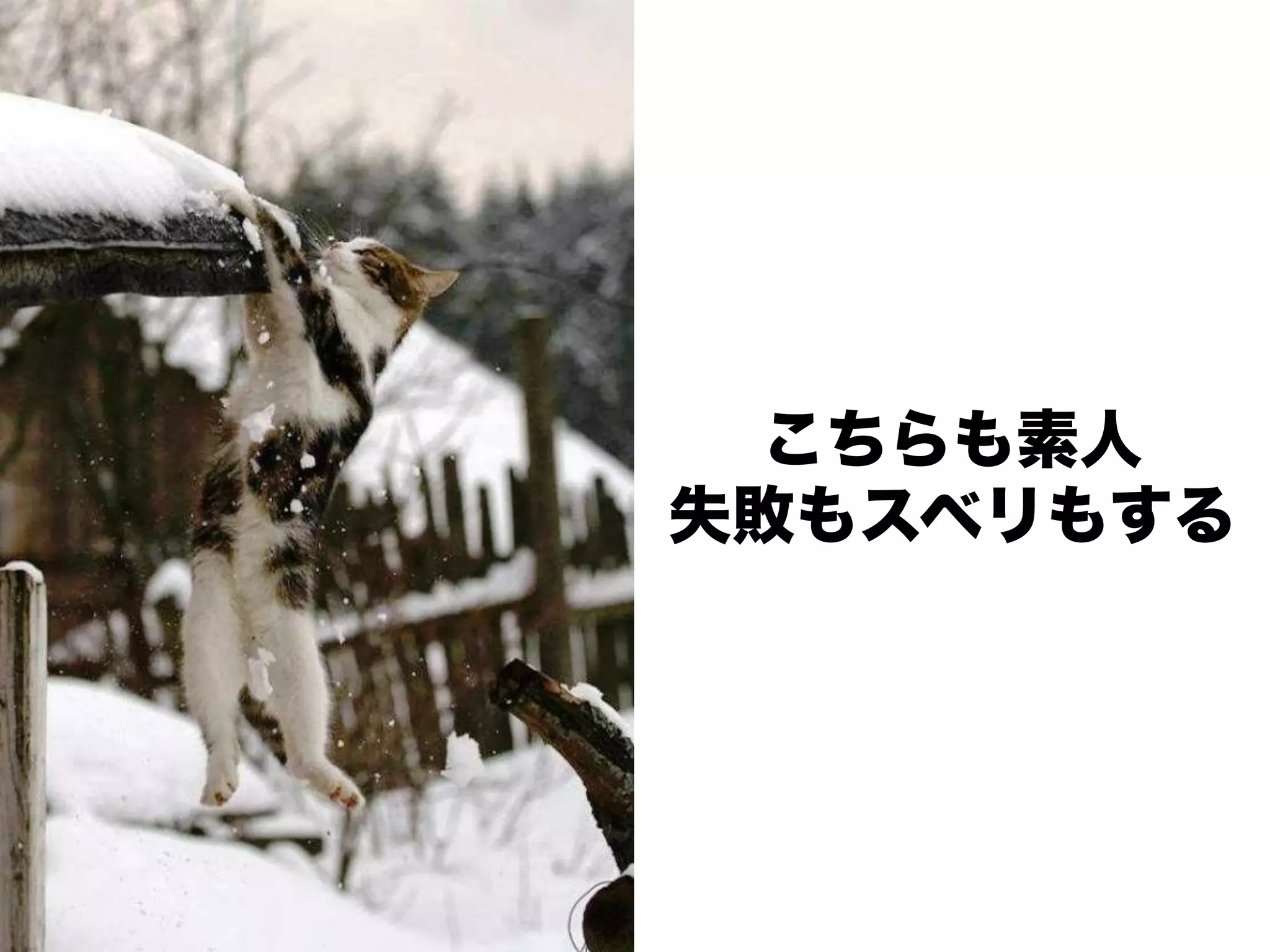 こちらも素人
失敗もスベリもする
 