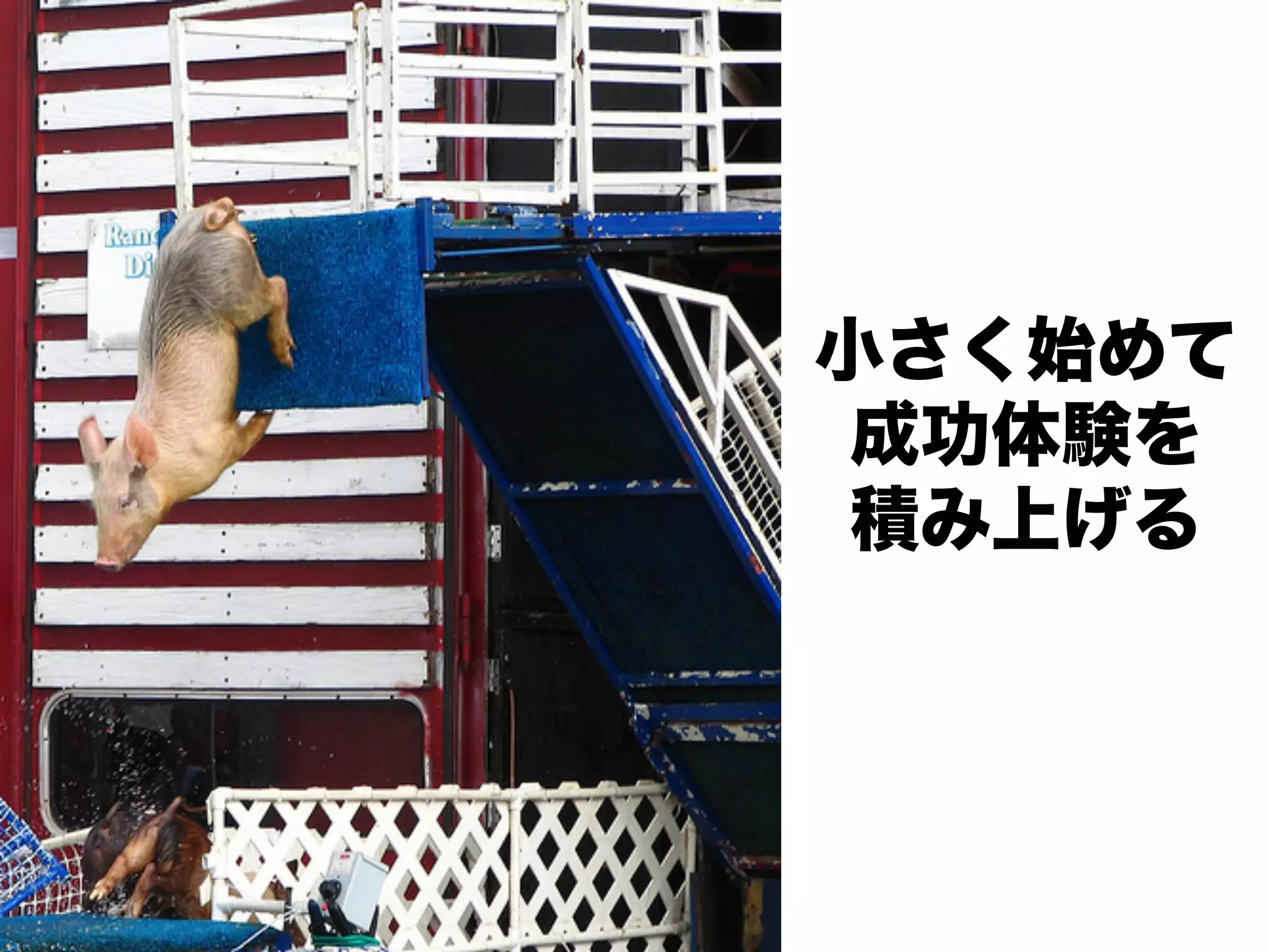 小さく始めて
 成功体験を
 積み上げる
 