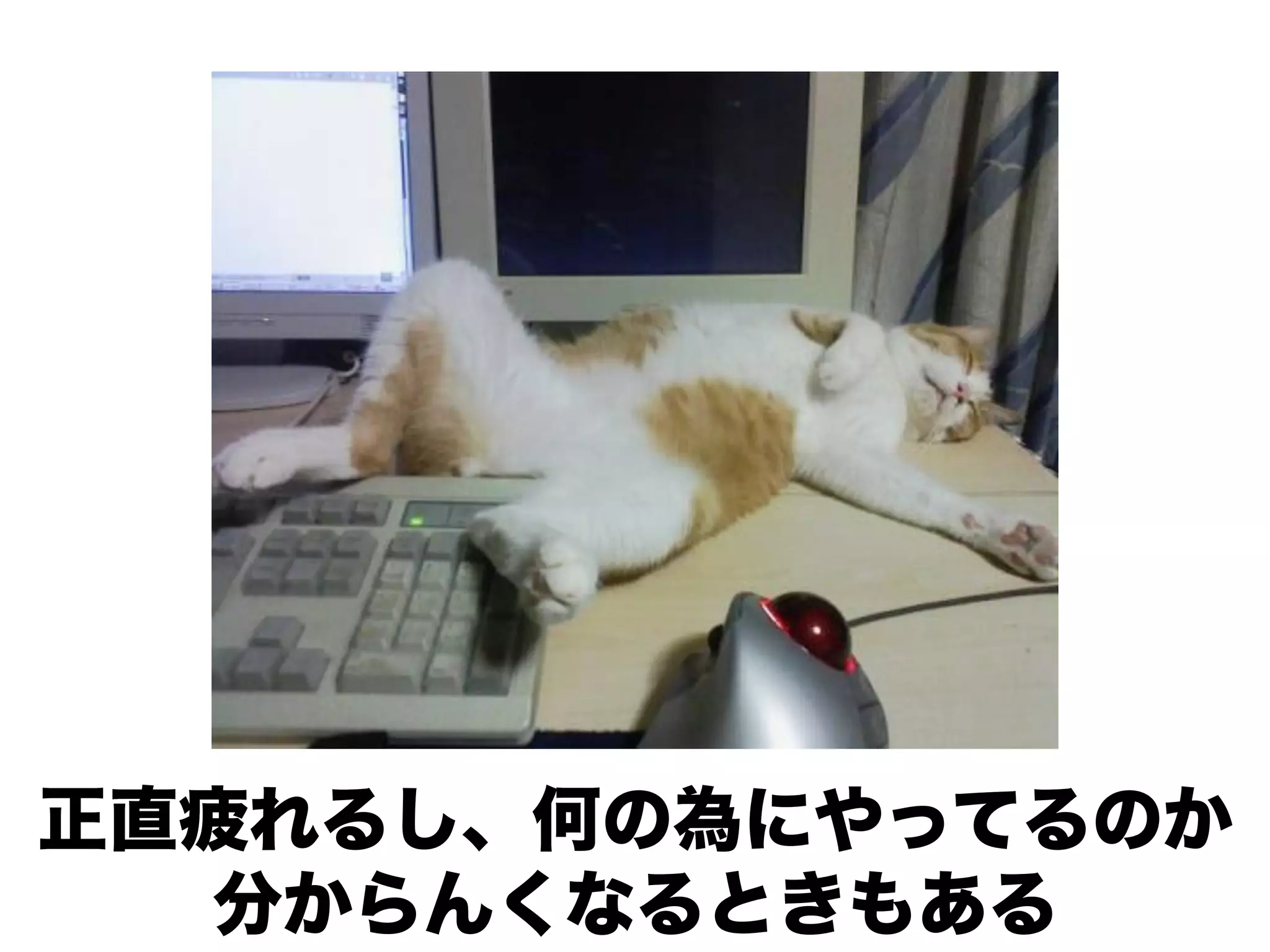 正直疲れるし、何の為にやってるのか
  分からんくなるときもある
 