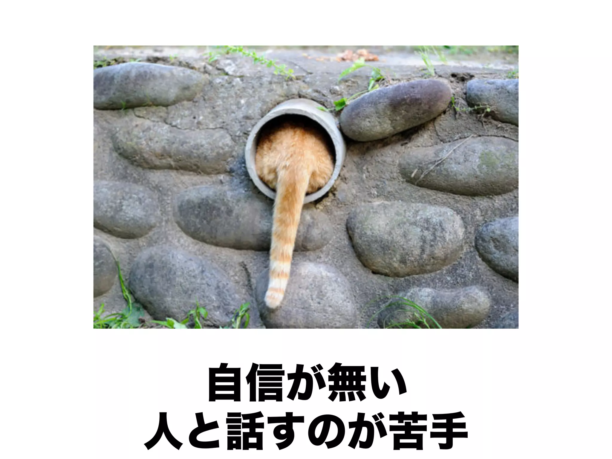自信が無い
人と話すのが苦手
 