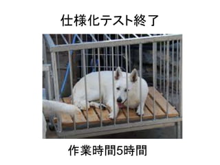 仕様化テスト終了 
作業時間5時間 
 