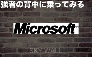 SKY WALL
 