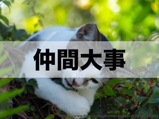 仲間大事 
https://www.flickr.com/photos/godserv/3976474883 
 