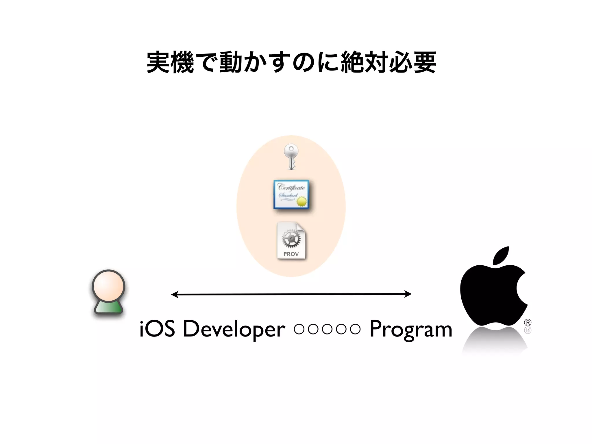 iOS Developer ○○○○○ Program
実機で動かすのに絶対必要
 