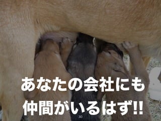 あなたの会社にも
仲間がいるはず!!30
 