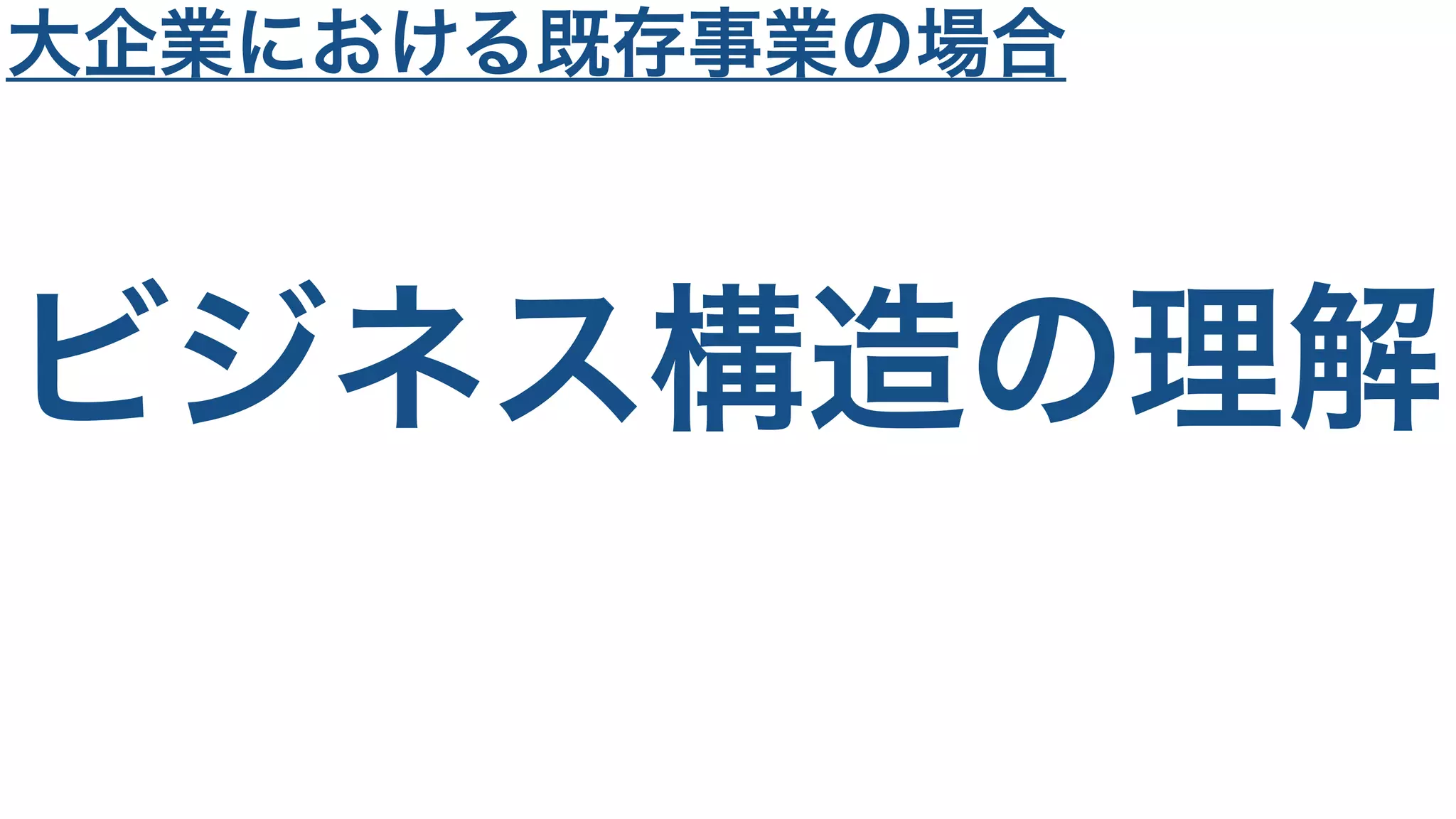 ビジネス構造の理解
大企業における既存事業の場合
 