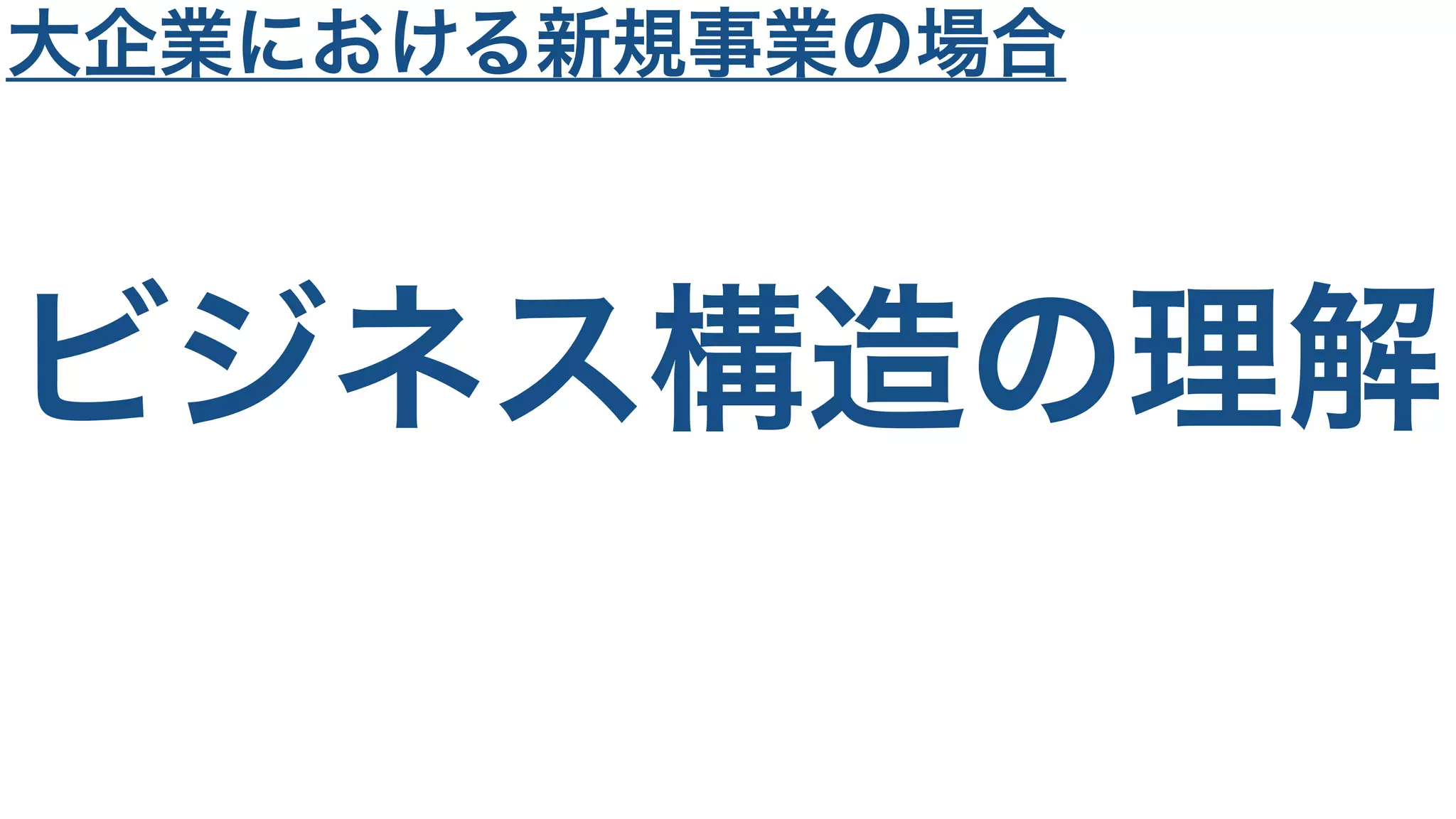 ビジネス構造の理解
大企業における新規事業の場合
 