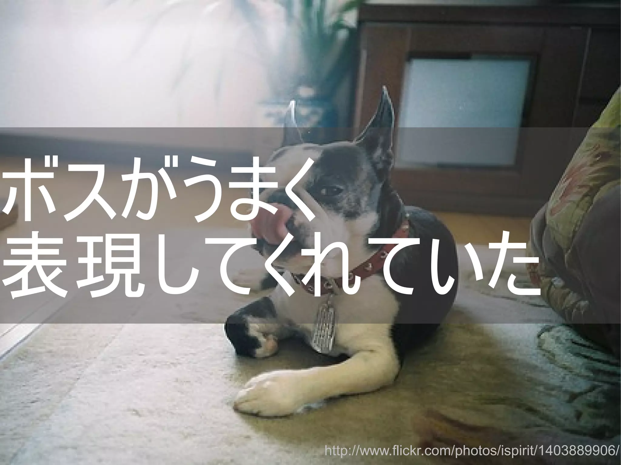 ボスがうまく
表現してくれていた
http://www.flickr.com/photos/ispirit/1403889906/
Copyright @yohhatu

 