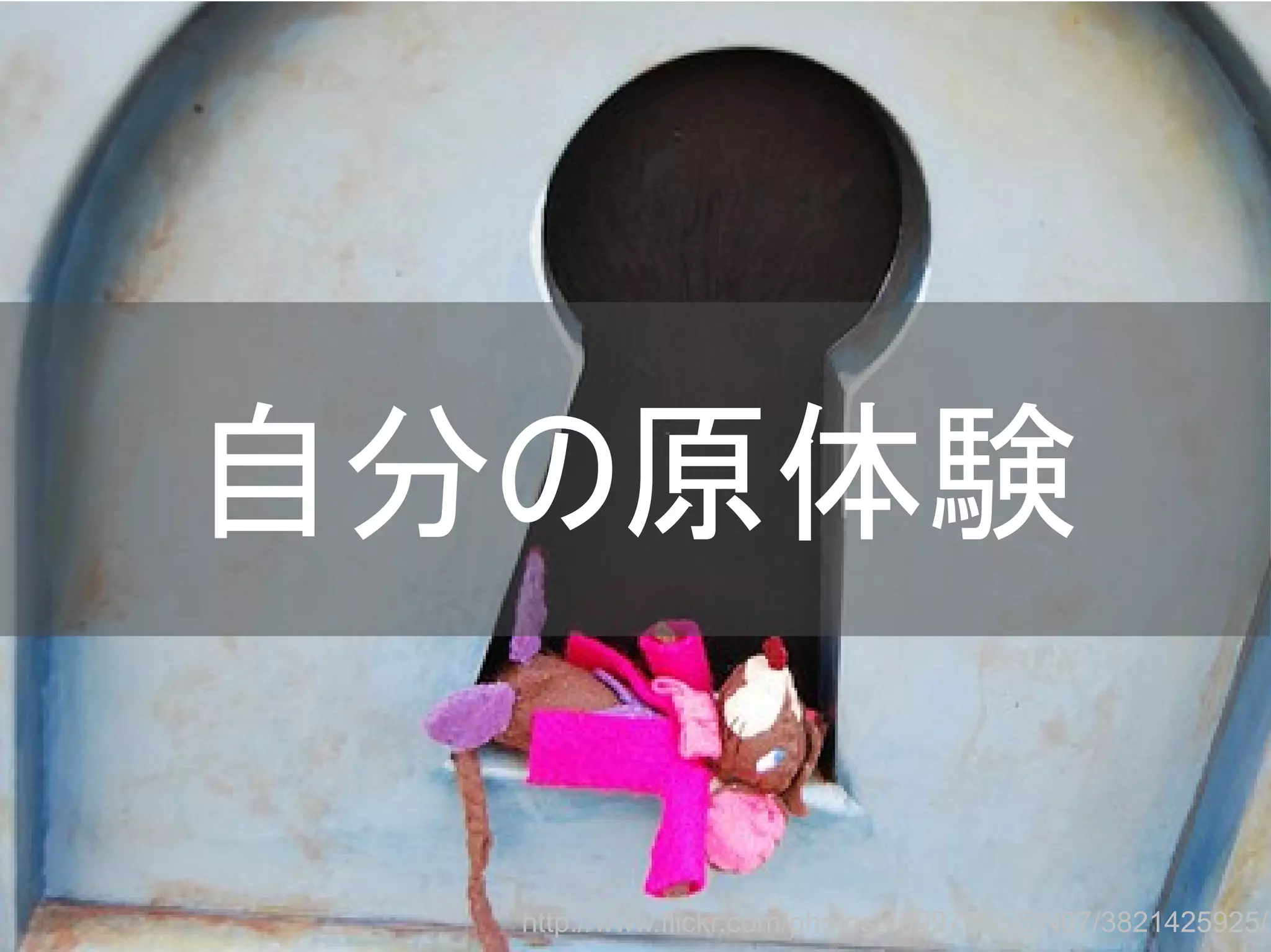 自分の原体験
http://www.flickr.com/photos/40997093@N07/3821425925/
Copyright @yohhatu

 