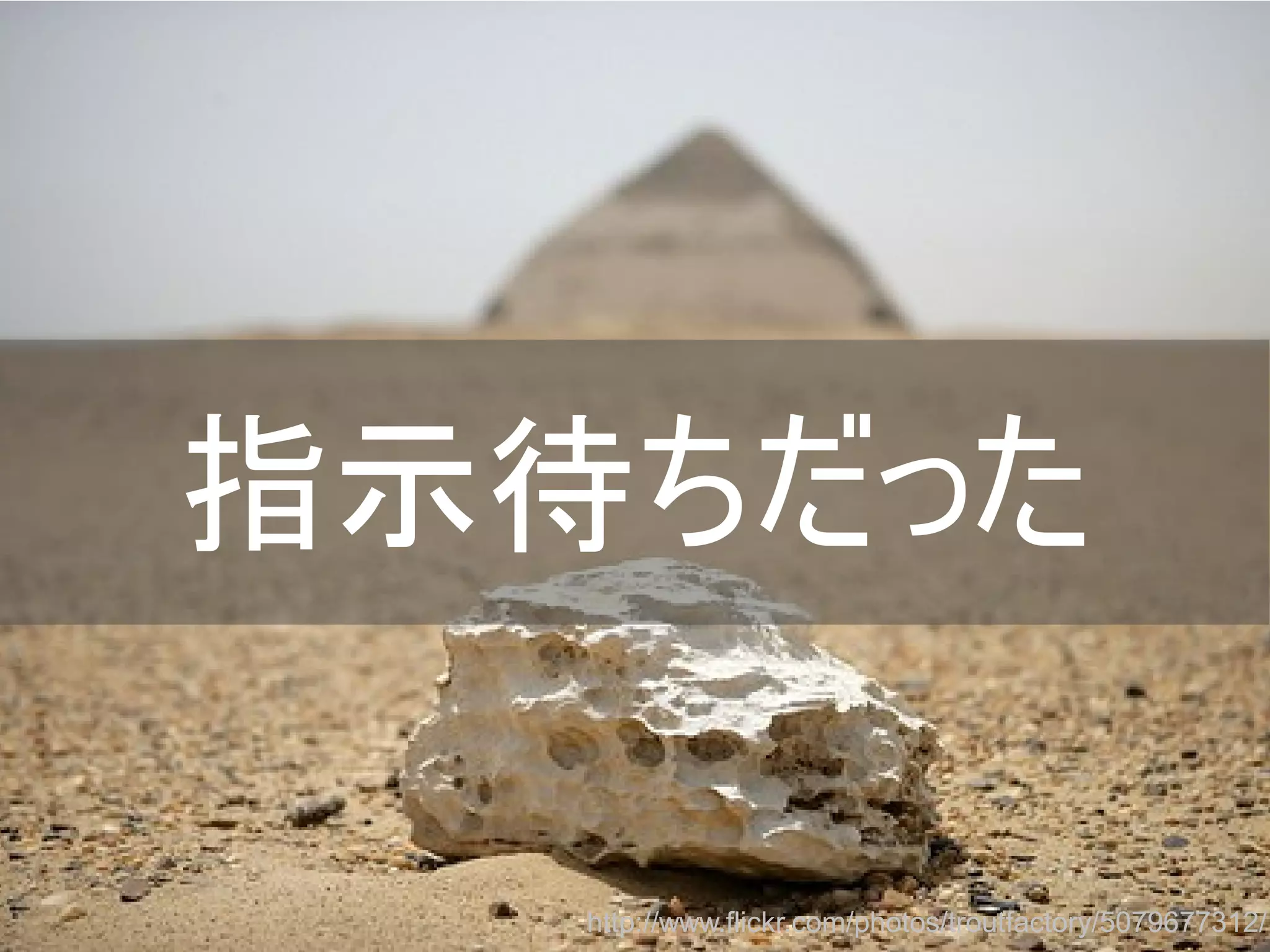 指示待ちだった
http://www.flickr.com/photos/troutfactory/5079677312/
Copyright @yohhatu

 