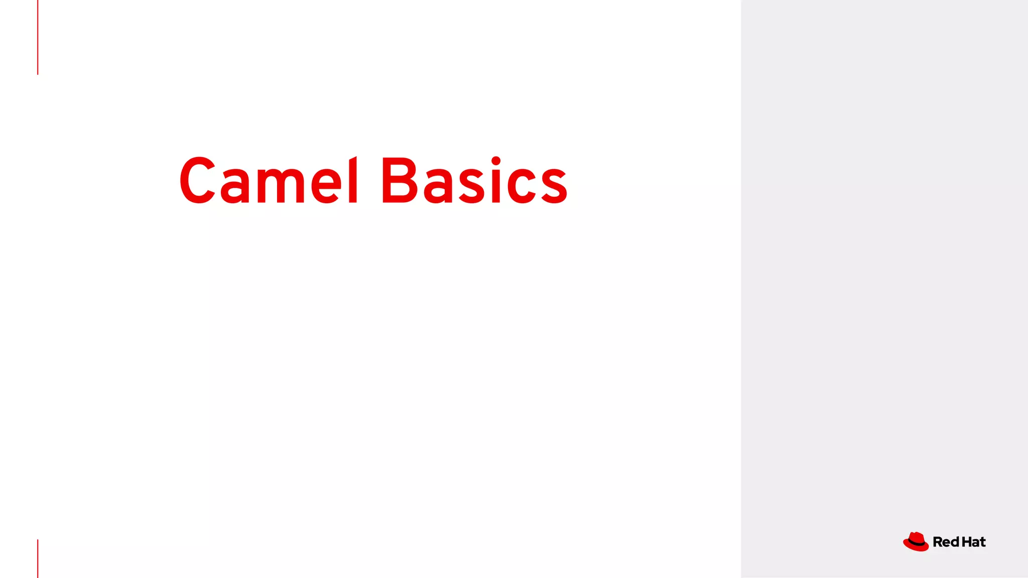 Camel Basics
 