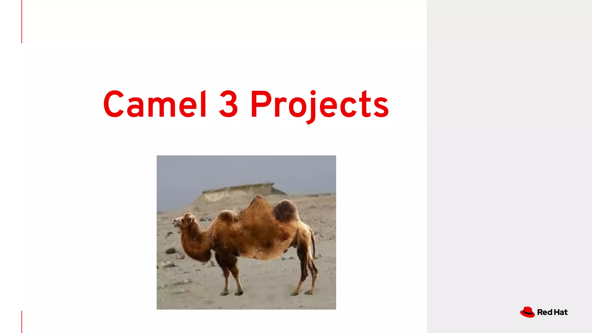 Camel 3 Projects
 