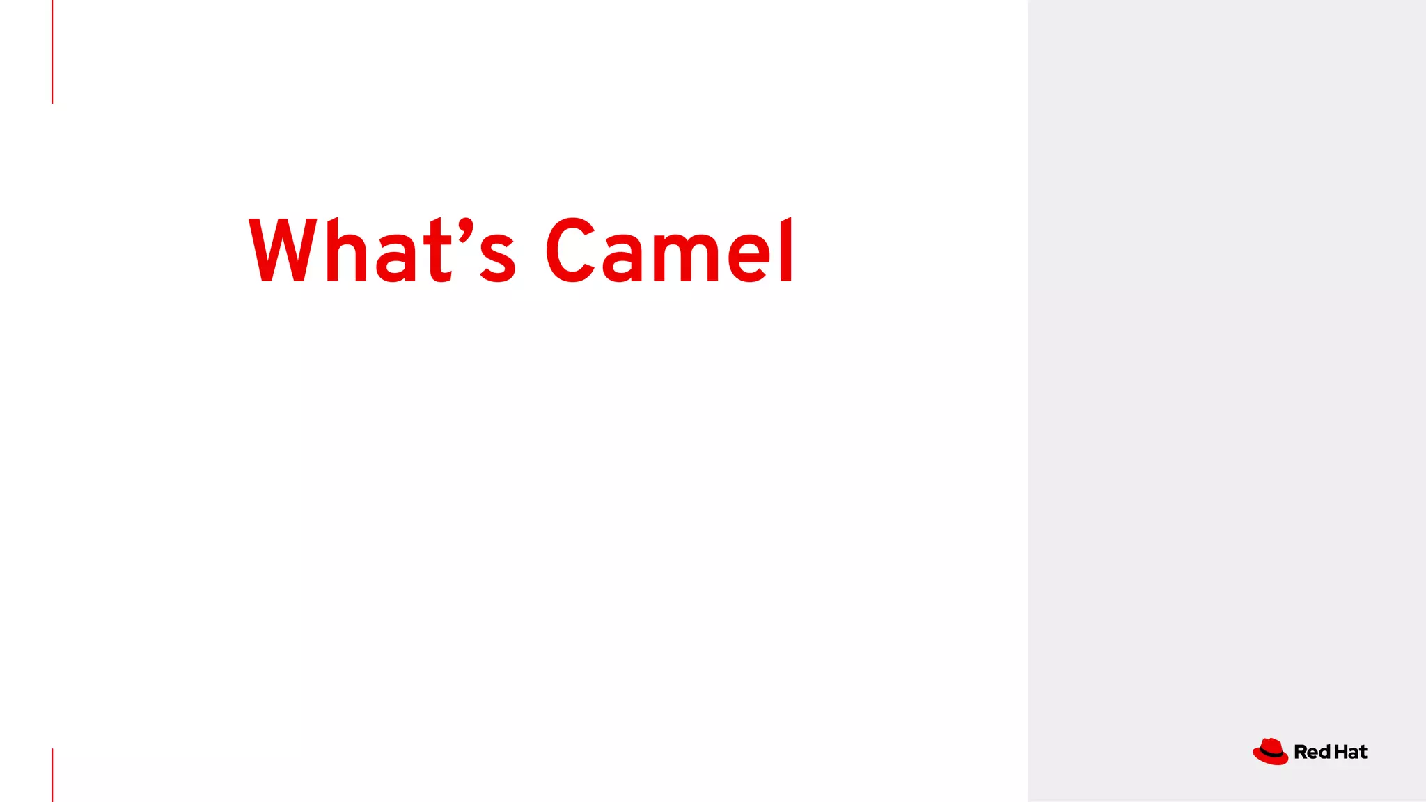 What’s Camel
 