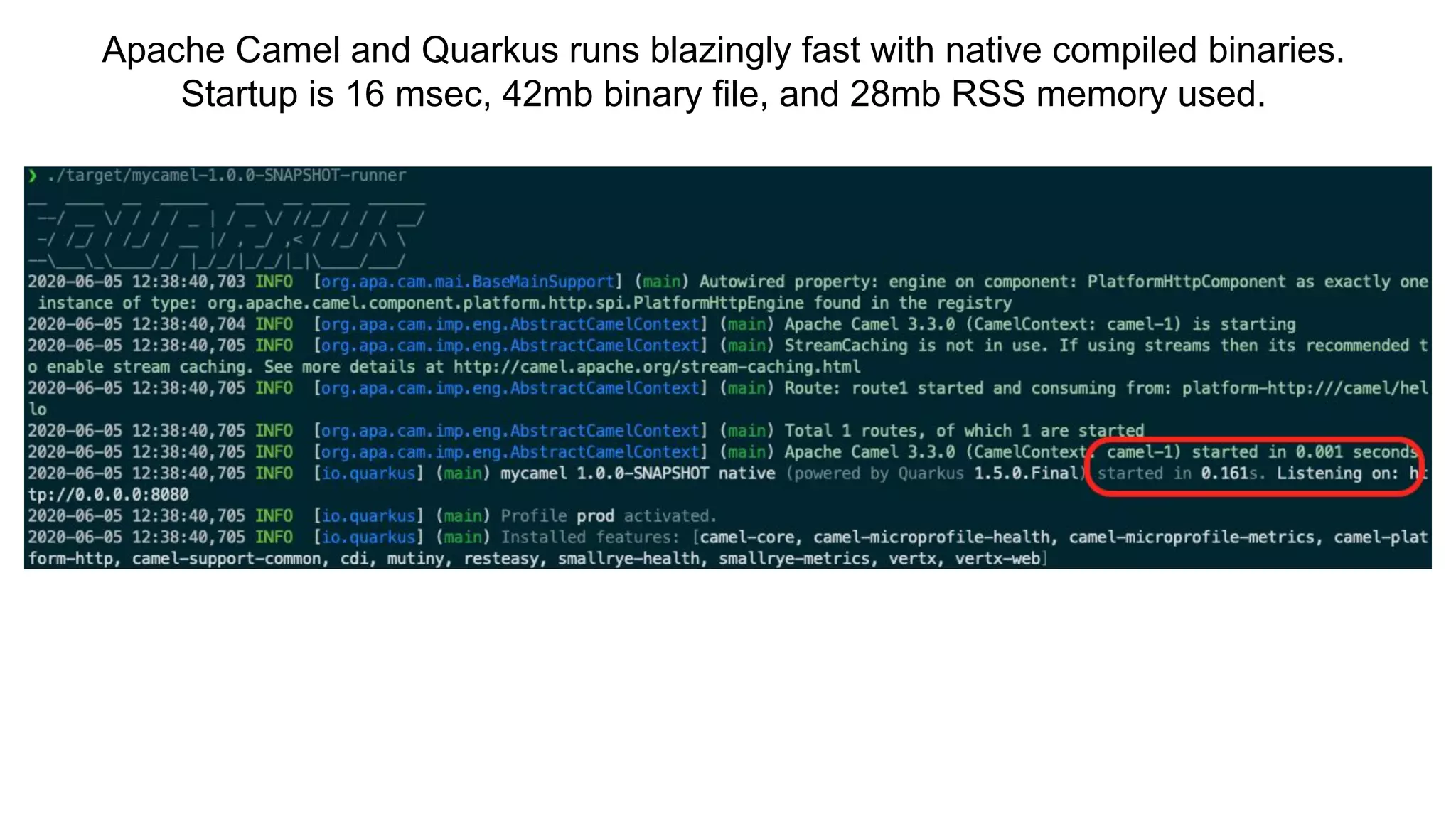 Apache Camel and Quarkus runs blazingly fast with native compiled binaries.
Startup is 16 msec, 42mb binary file, and 28mb RSS memory used.
 