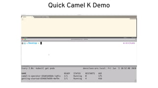 Quick Camel K Demo
 
