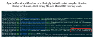 Apache Camel and Quarkus runs blazingly fast with native compiled binaries.
Startup is 16 msec, 42mb binary file, and 28mb RSS memory used.
 