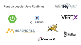 Runs on popular Java Runtimes
 