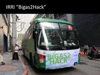 IRRI “Bigas2Hack”

 