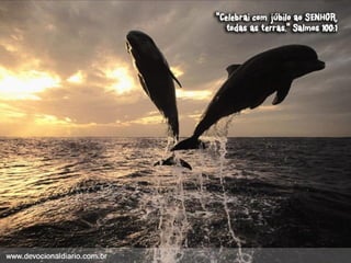 Devocional diario (1)