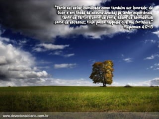 Devocional diario (1)