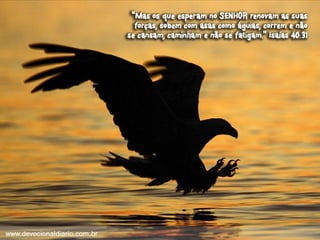 Devocional diario (1)