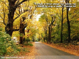 Devocional diario (1)