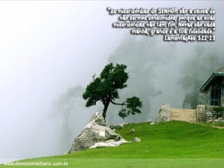 Devocional diario (1)