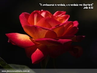 Devocional diario (1)