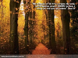 Devocional diario (1)