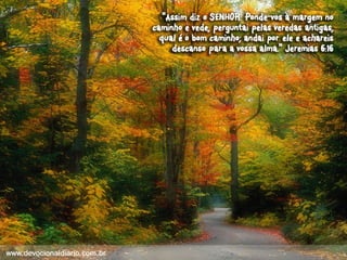 Devocional diario (1)