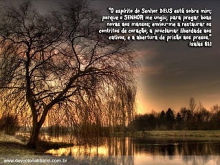 Devocional diario (1)