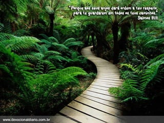 Devocional diario (1)