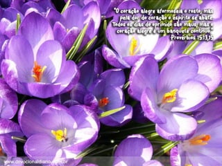 Devocional diario (1)