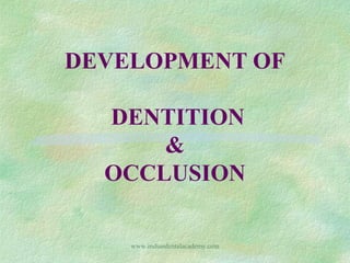 DEVELOPMENT OF
DENTITION
&
OCCLUSION
www.indiandentalacademy.com

 