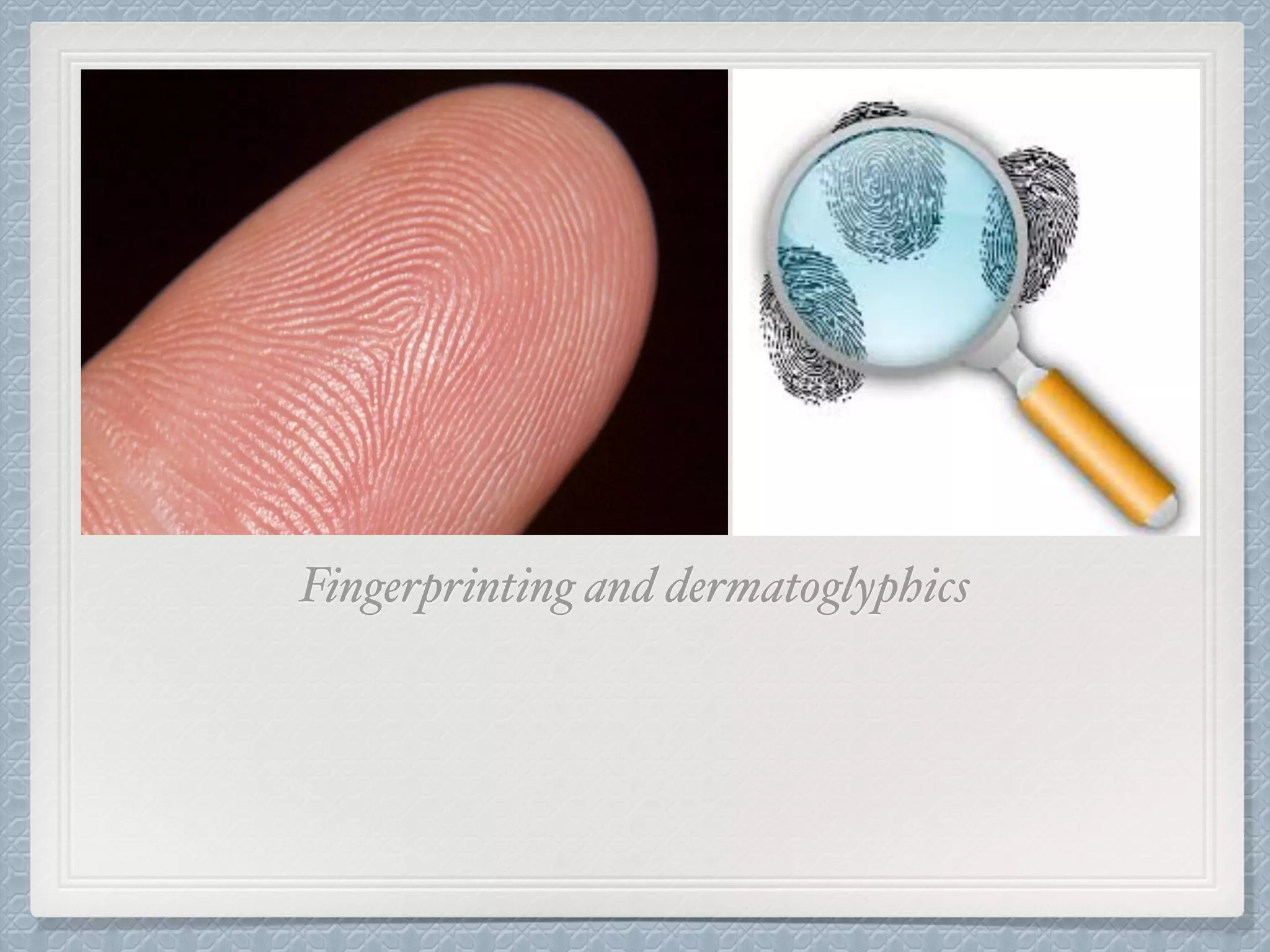 Fingerprinting and dermatoglyphics
 