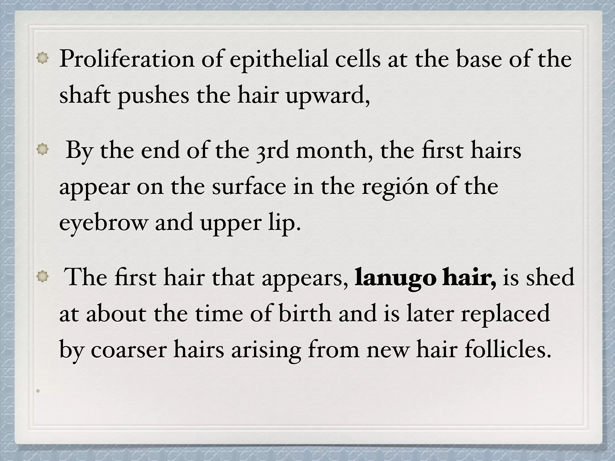 Proliferation of epithelial cells at the base of the
shaft pushes the hair upward,
By the end of the 3rd month, the ﬁrst hairs
appear on the surface in the región of the
eyebrow and upper lip.
The ﬁrst hair that appears, lanugo hair, is shed
at about the time of birth and is later replaced
by coarser hairs arising from new hair follicles.
 