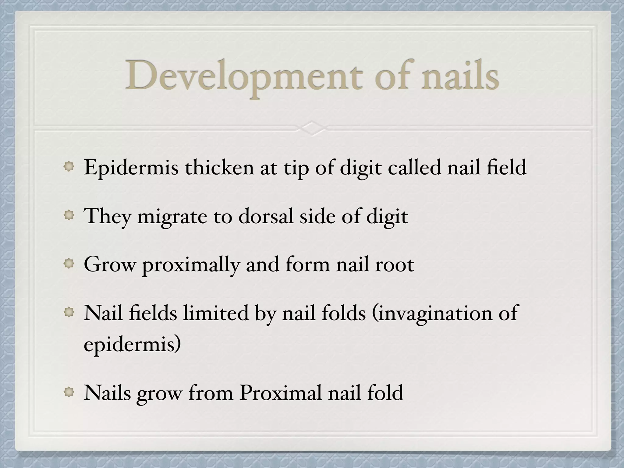 Development of nails
Epidermis thicken at tip of digit called nail ﬁeld
They migrate to dorsal side of digit
Grow proximally and form nail root
Nail ﬁelds limited by nail folds (invagination of
epidermis)
Nails grow from Proximal nail fold
 