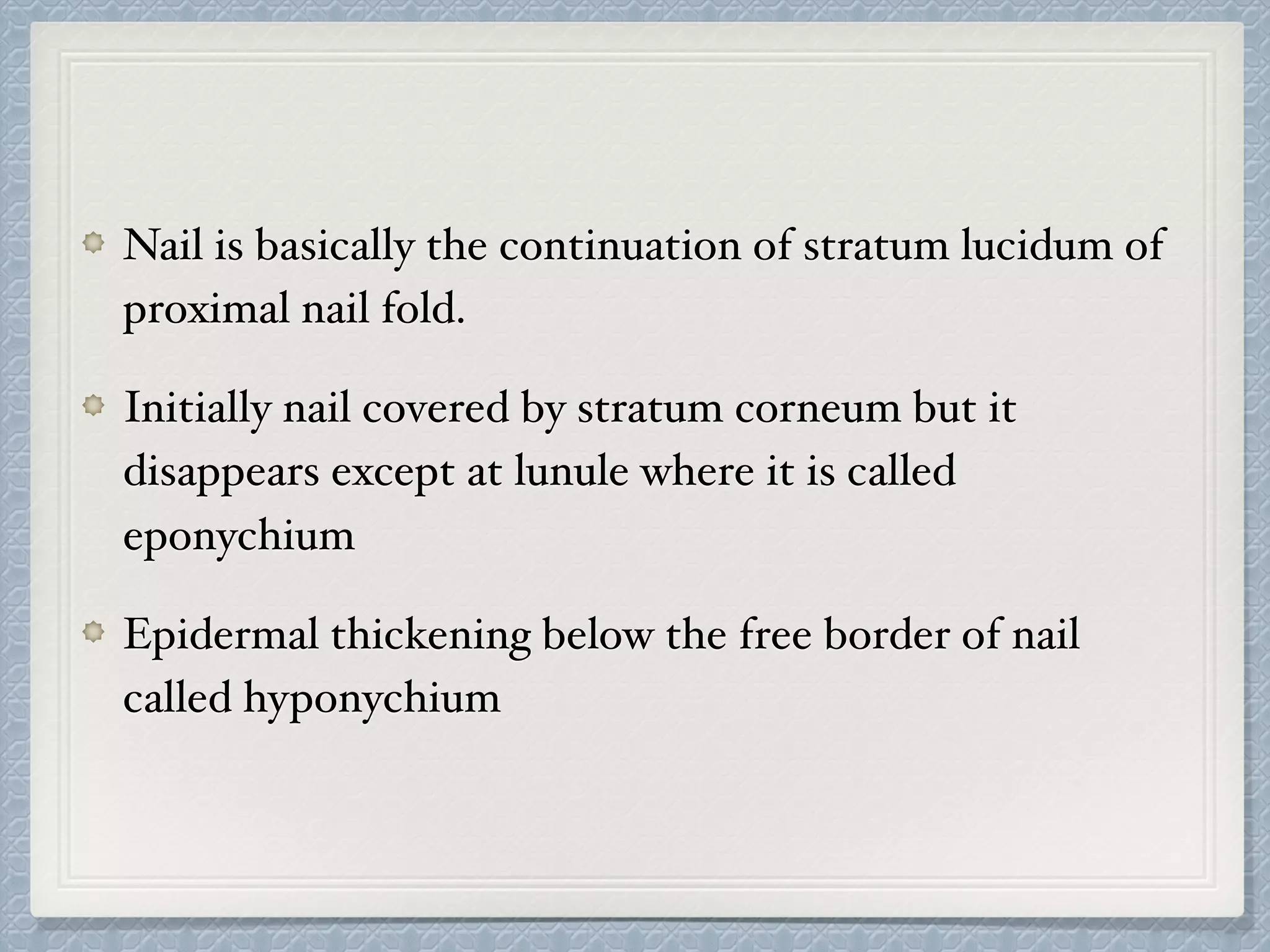 Nail is basically the continuation of stratum lucidum of
proximal nail fold.
Initially nail covered by stratum corneum but it
disappears except at lunule where it is called
eponychium
Epidermal thickening below the free border of nail
called hyponychium
 