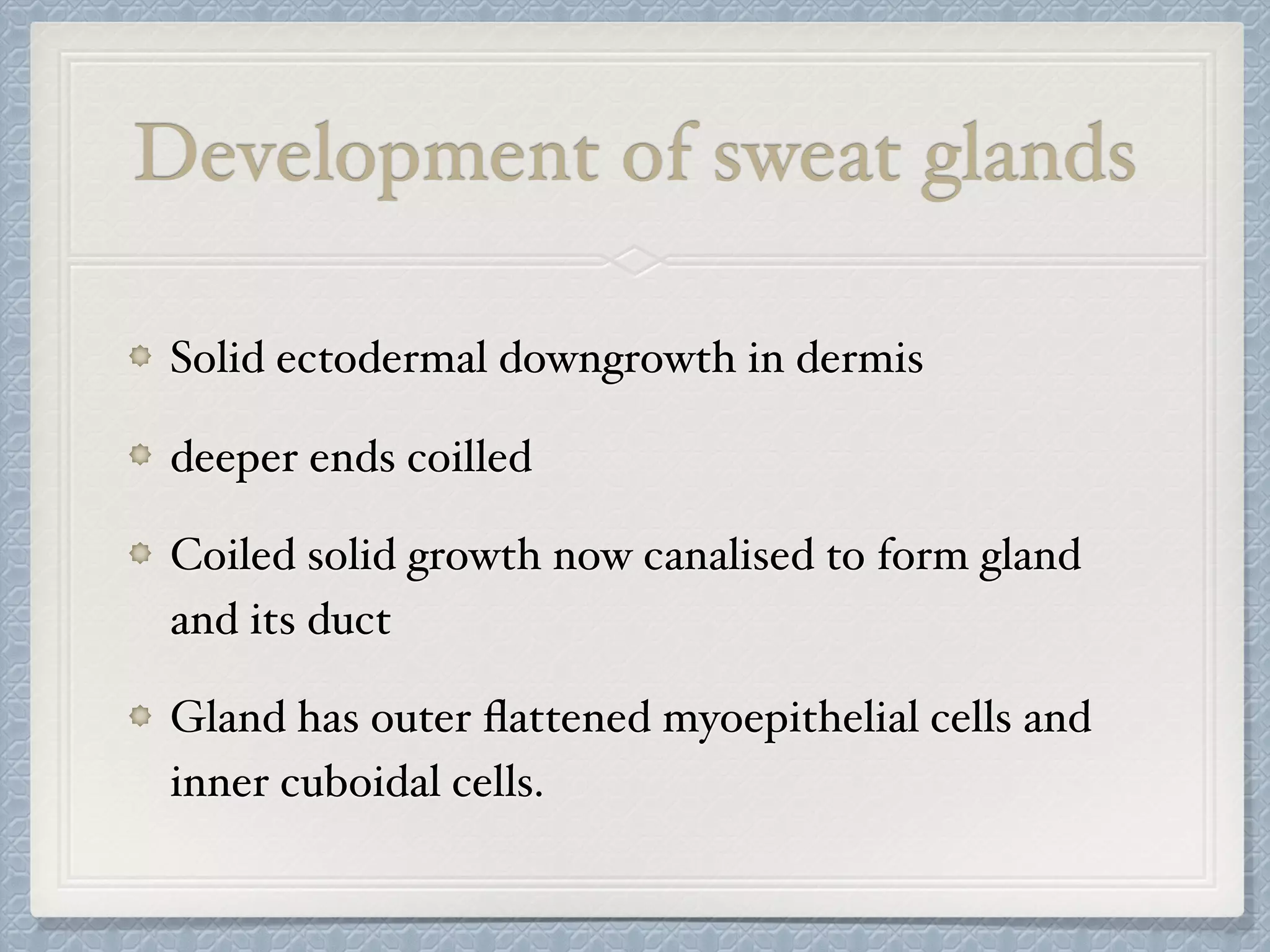 Development of sweat glands
Solid ectodermal downgrowth in dermis
deeper ends coilled
Coiled solid growth now canalised to form gland
and its duct
Gland has outer ﬂattened myoepithelial cells and
inner cuboidal cells.
 