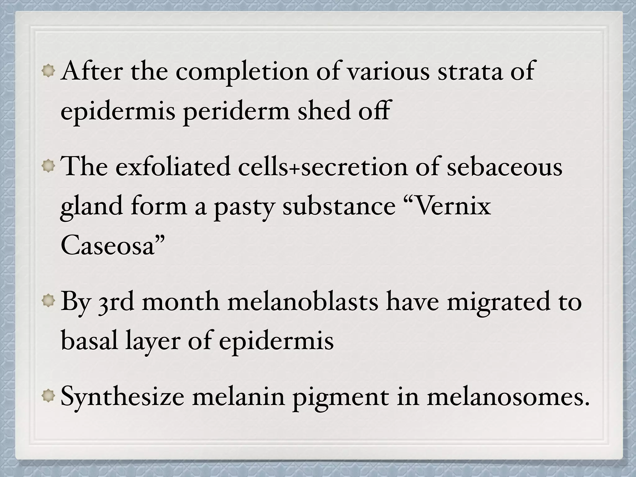 After the completion of various strata of
epidermis periderm shed oﬀ
The exfoliated cells+secretion of sebaceous
gland form a pasty substance “Vernix
Caseosa”
By 3rd month melanoblasts have migrated to
basal layer of epidermis
Synthesize melanin pigment in melanosomes.
 