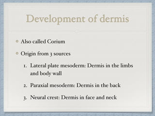 Development of dermis
Also called Corium
Origin from 3 sources
1. Lateral plate mesoderm: Dermis in the limbs
and body wall
2. Paraxial mesoderm: Dermis in the back
3. Neural crest: Dermis in face and neck
 