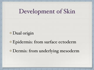 Development of Skin
Dual origin
Epidermis: from surface ectoderm
Dermis: from underlying mesoderm
 