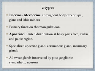 2 types
Eccrine / Merocrine: throughout body except lips ,
glans and labia minora
Primary function thermoregulatioon
Apocrine: limited distribution at hairy parts face, axillae,
and pubic región.
Specialised apocrine gland: ceruminous gland, mammary
glands
All sweat glands innervated by post ganglionic
sympathetic neurons
 