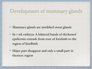 Development of mammary glands
Mammary glands are modiﬁed sweat glands
In 7 wk embryo: A bilateral bands of thickened
epidermis extends from root of forelimb to the
region of hindlimb
Major part disappear and only a small part in
thoracic region
 