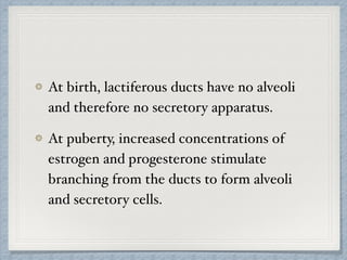 At birth, lactiferous ducts have no alveoli
and therefore no secretory apparatus.
At puberty, increased concentrations of
estrogen and progesterone stimulate
branching from the ducts to form alveoli
and secretory cells.
 