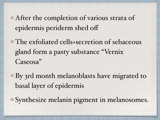 After the completion of various strata of
epidermis periderm shed oﬀ
The exfoliated cells+secretion of sebaceous
gland form a pasty substance “Vernix
Caseosa”
By 3rd month melanoblasts have migrated to
basal layer of epidermis
Synthesize melanin pigment in melanosomes.
 