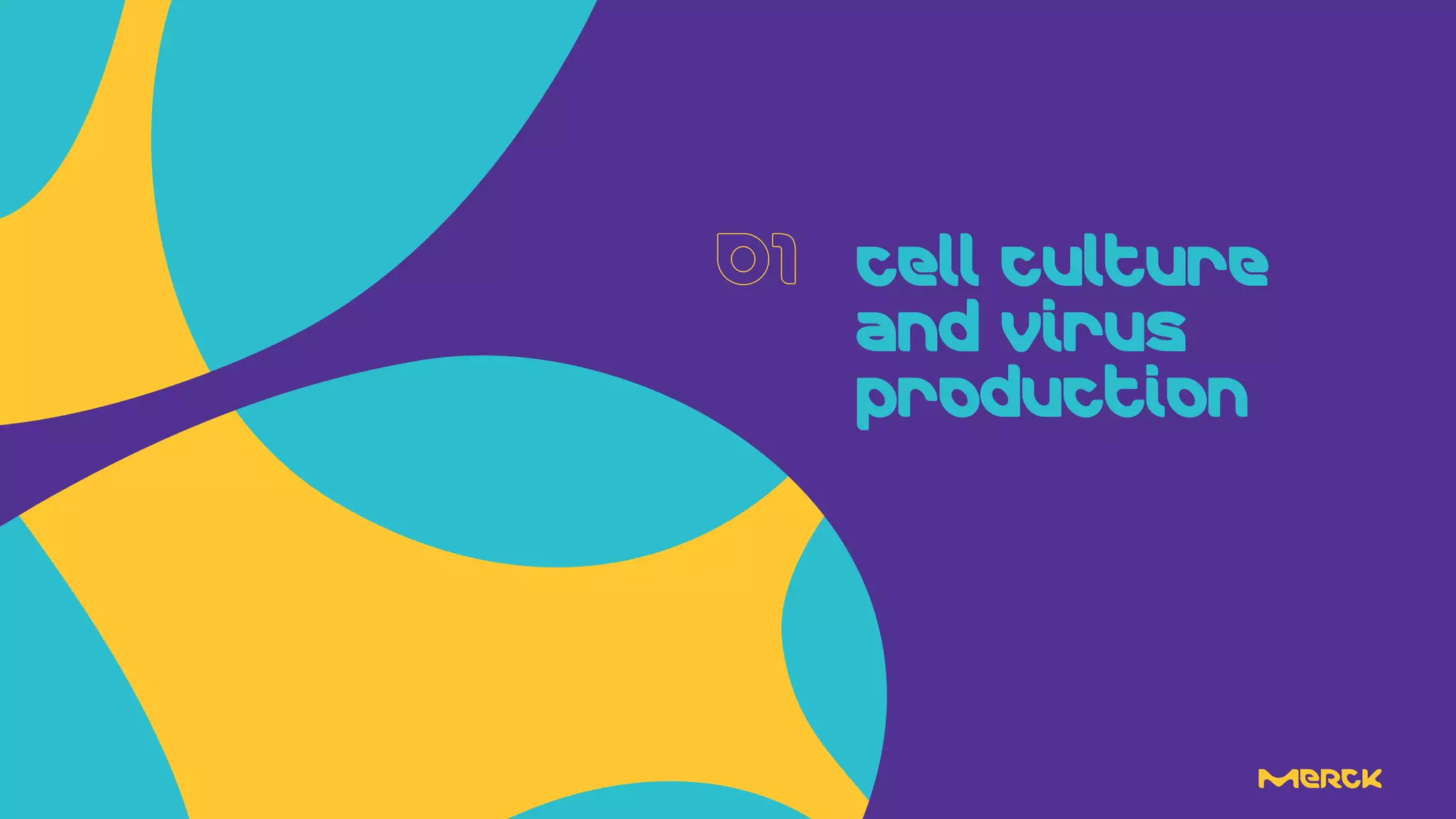 Cell culture
and virus
production
 