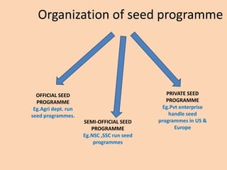 Development of seed programmes | PPTX